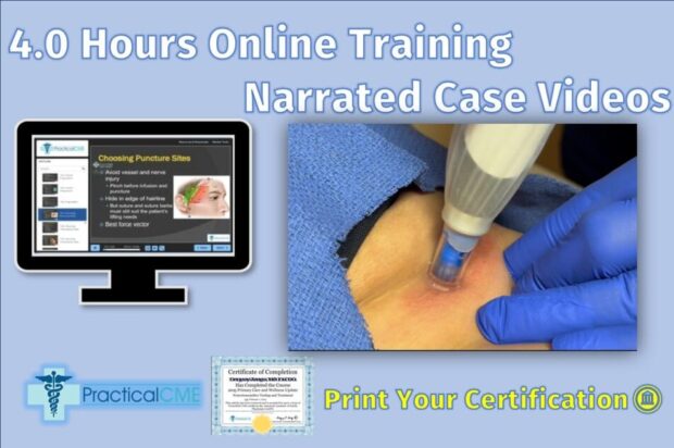 Picture of a Microneedling Class from the Microneedling Course from PracticalCME Training